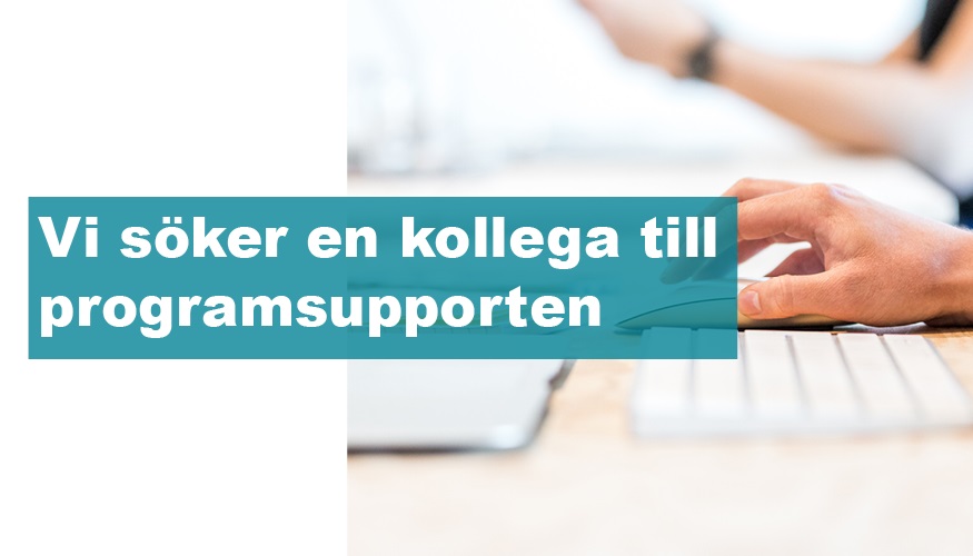 Vi Söker En Kollega Till Programsupporten I Norrköping Briljant Ekonomisystem 